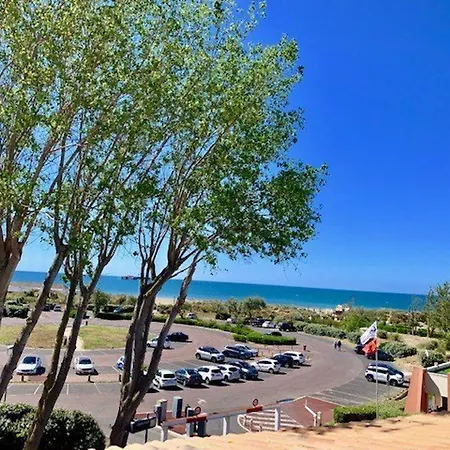 Apartment T2 Au Cap D'Agde, Piscine Et Parking, Proche Plage, Pour 4 Pers - Fr-1-607-228 *