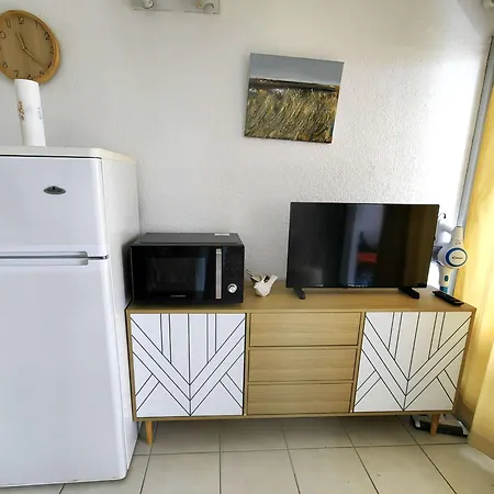 T2 Au Cap D'agde, Piscine Et Parking, Proche Plage, Pour 4 Pers - Fr-1-607-228 * Agde